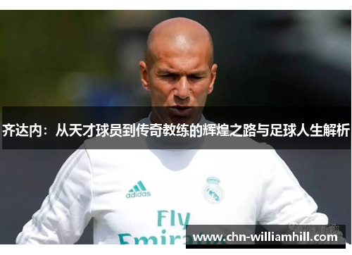 齐达内：从天才球员到传奇教练的辉煌之路与足球人生解析