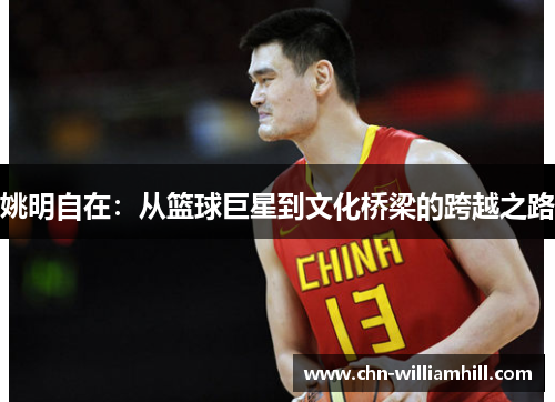 姚明自在：从篮球巨星到文化桥梁的跨越之路