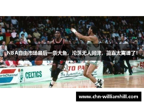 NBA自由市场最后一条大鱼，沦落无人问津，简直太离谱了！